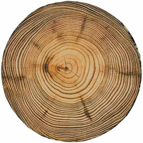 Poduszka na krzesło okrągłe DALIA II wzór OMSZONA (widok z góry)